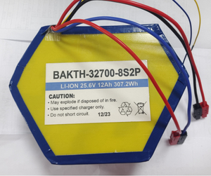 Pack de batterie personnalisé en gros BAKTH-32700-8S2P 25.6V 12AH LIFEPO4 Batterie Pack de batterie rechargeable